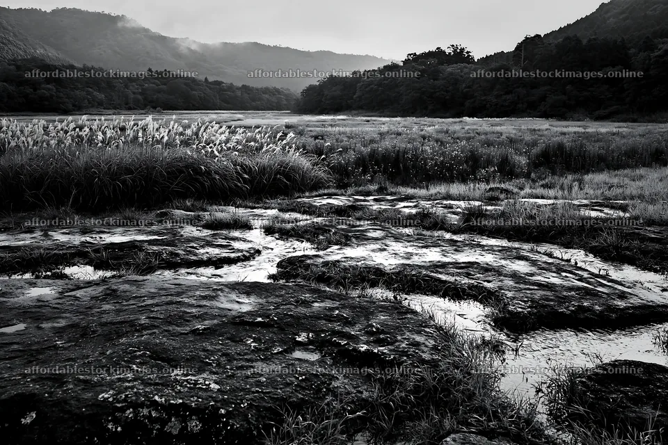 Hiroshima meadow with smooth rocks and rain – stock images 9722x6480