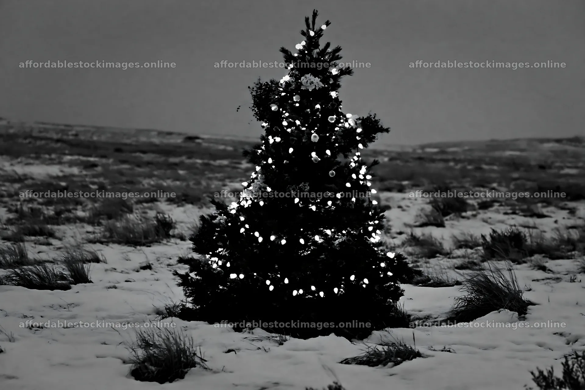 Decorated Christmas tree under lights in snowy meadow – stock images 9722x6480