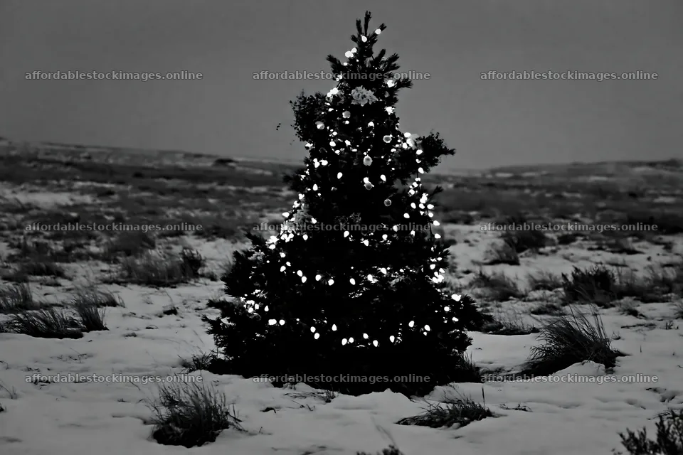 Decorated Christmas tree under lights in snowy meadow – stock images 9722x6480