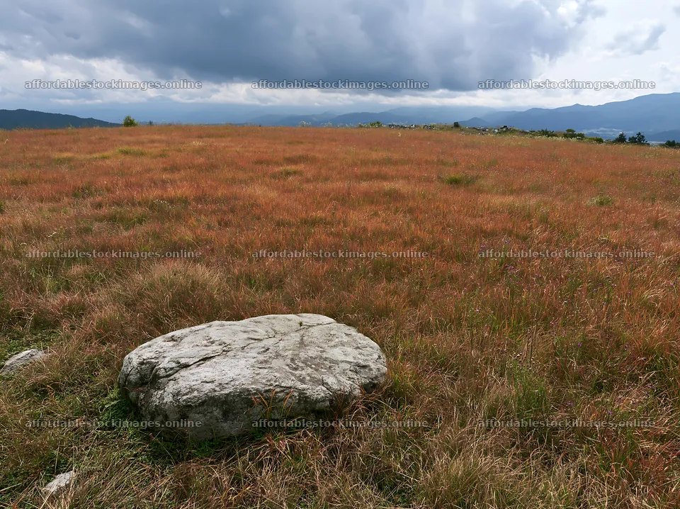Nagano drought resilient meadow granite boulder – stock images 9174x6866