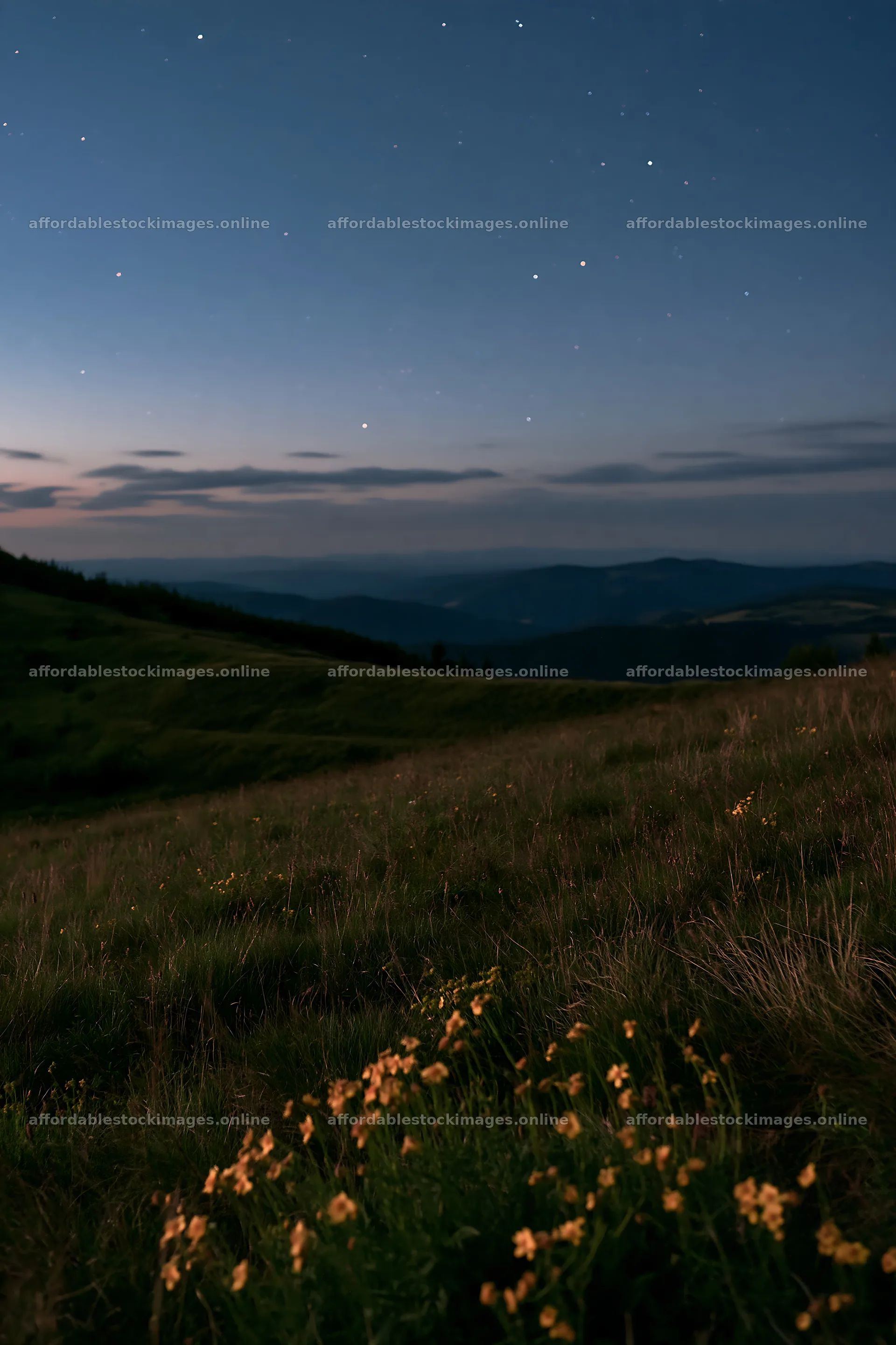 Starlit meadow under the night sky with distant mountains – stock images 6480x9722