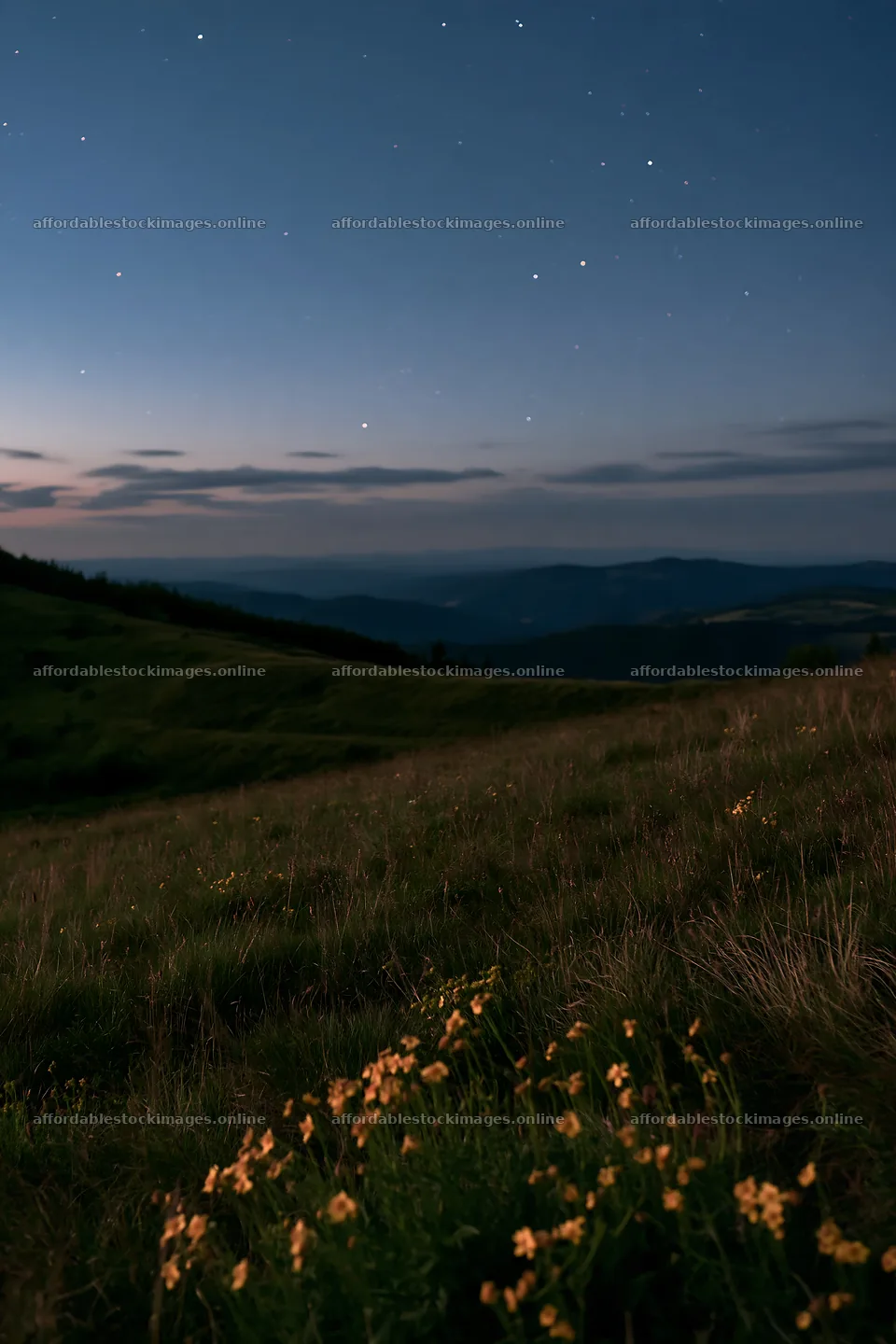 Starlit meadow under the night sky with distant mountains – stock images 6480x9722