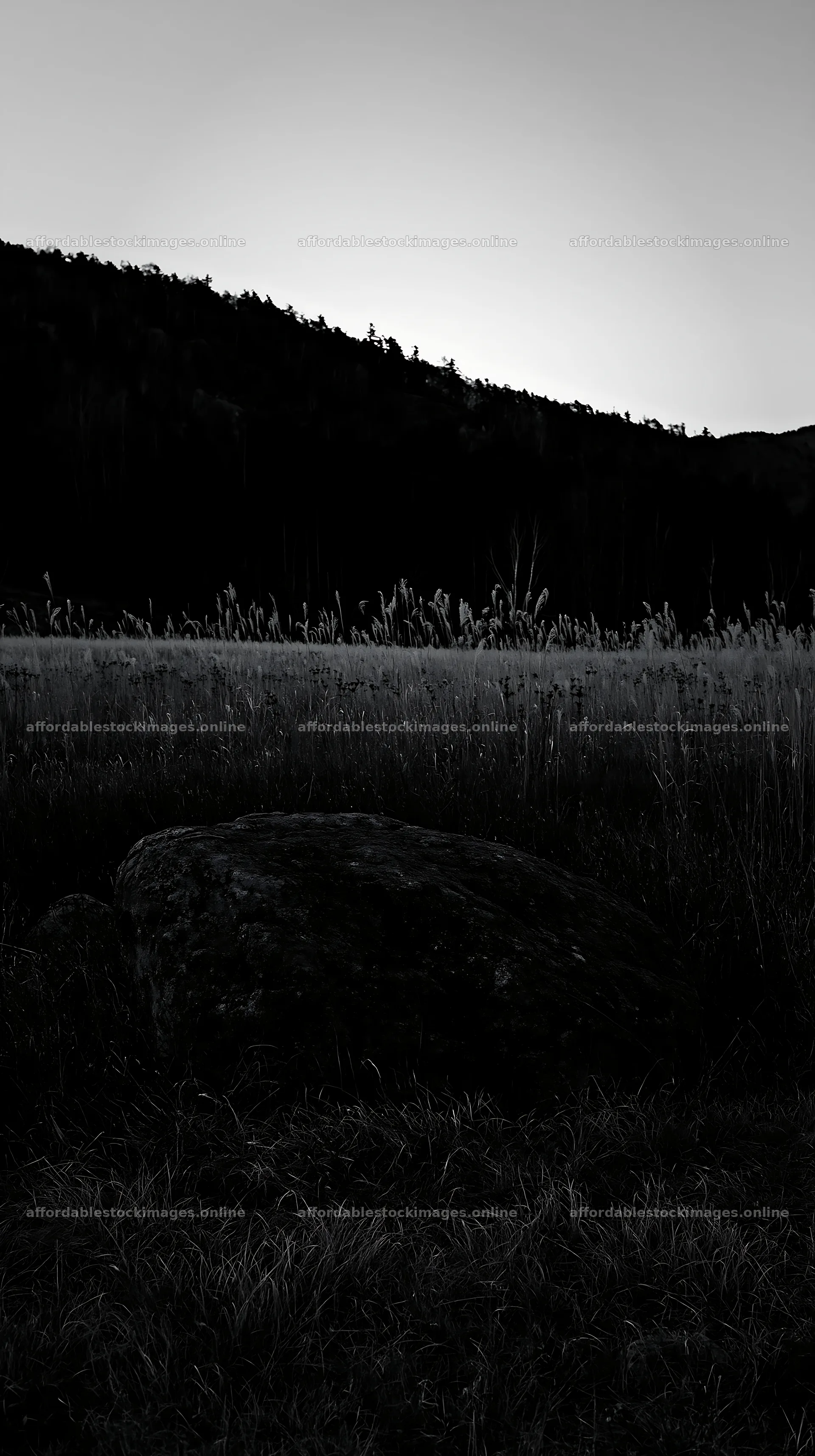 Nagano drought resilient meadow with granite boulder – stock images 5938x10608