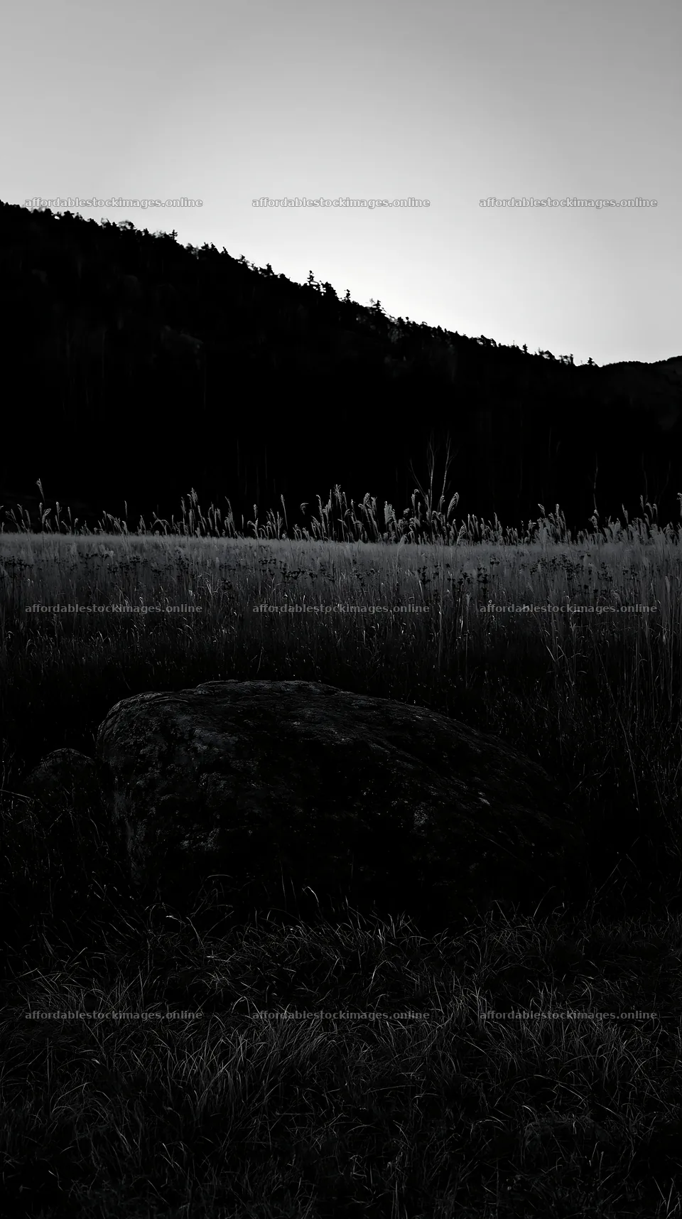 Nagano drought resilient meadow with granite boulder – stock images 5938x10608