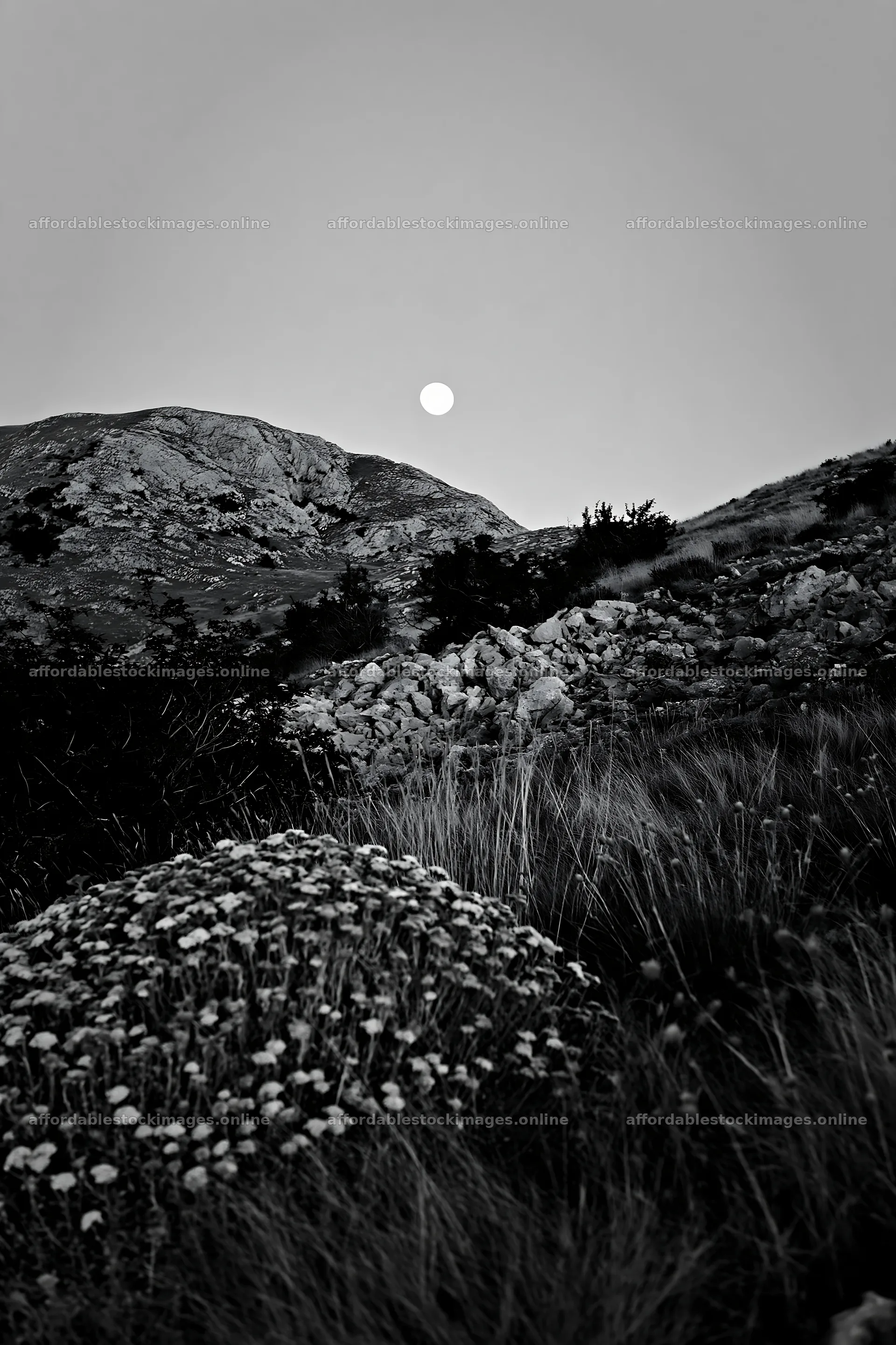 Moonrise over a meadow with mountains in the background – stock images 6480x9722