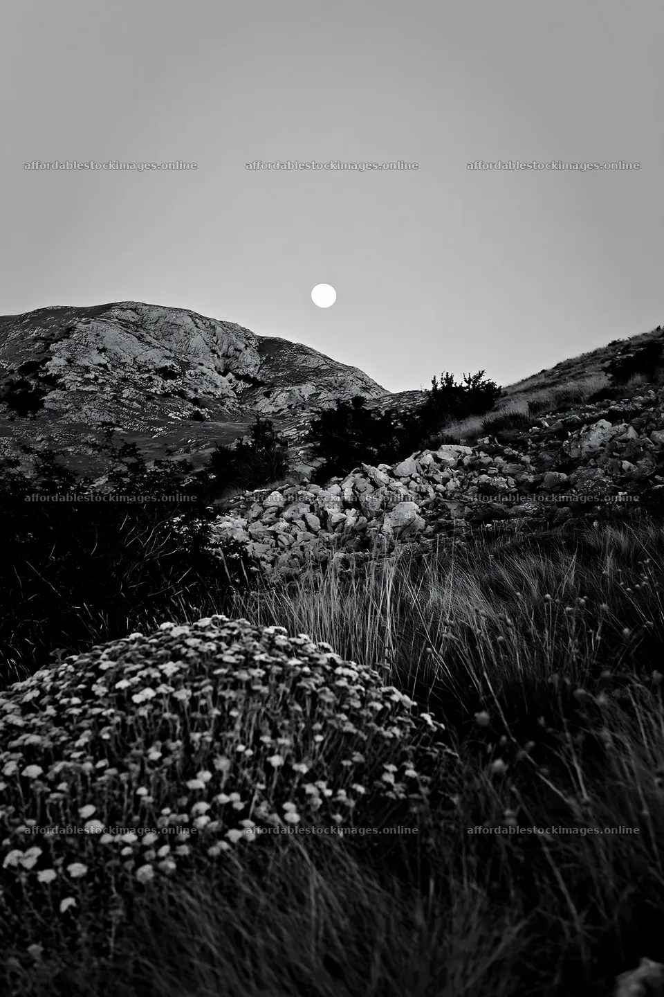 Moonrise over a meadow with mountains in the background – stock images 6480x9722