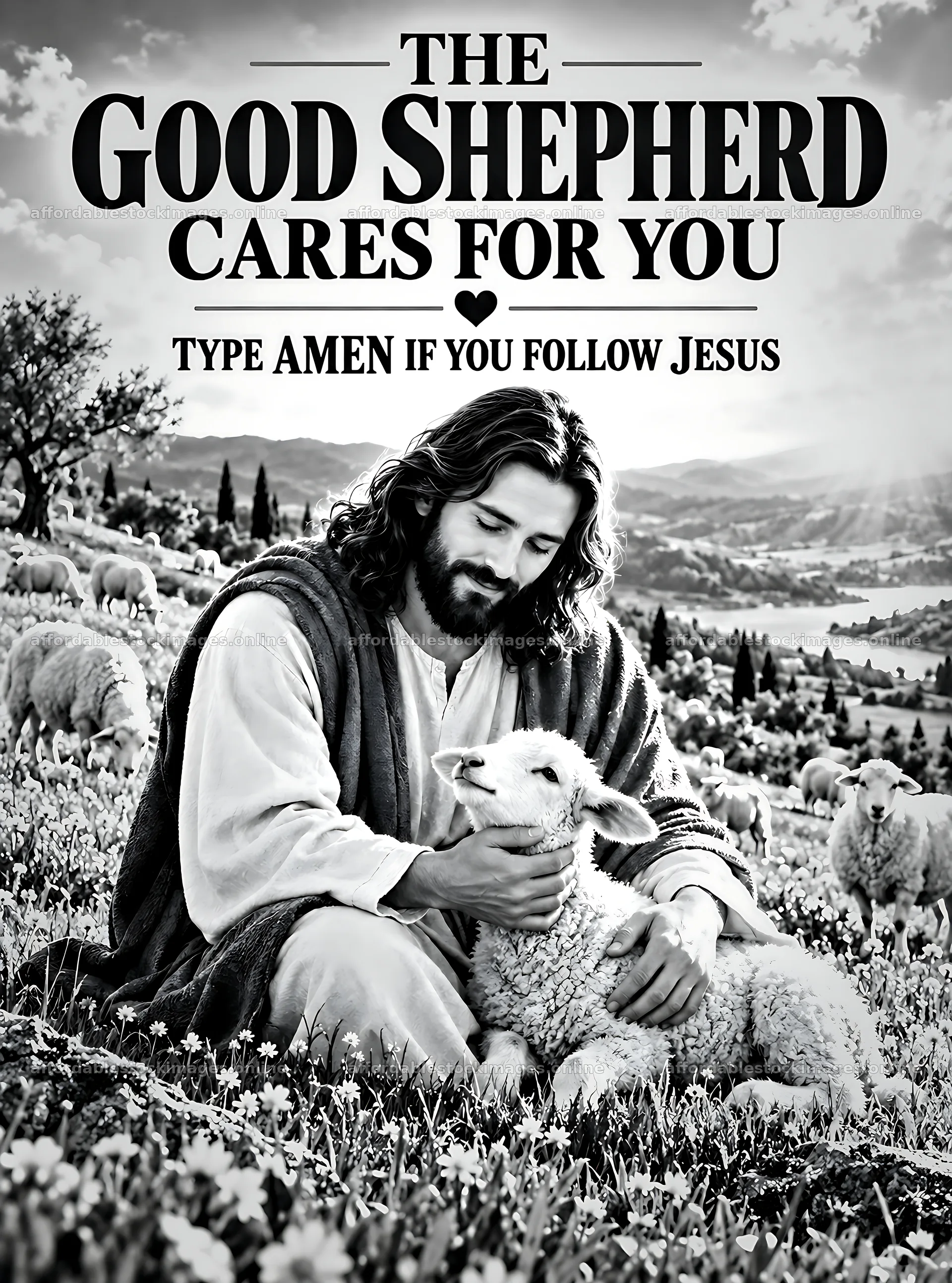 Good shepherd cares for sheep in green field – stock images 6836x9216