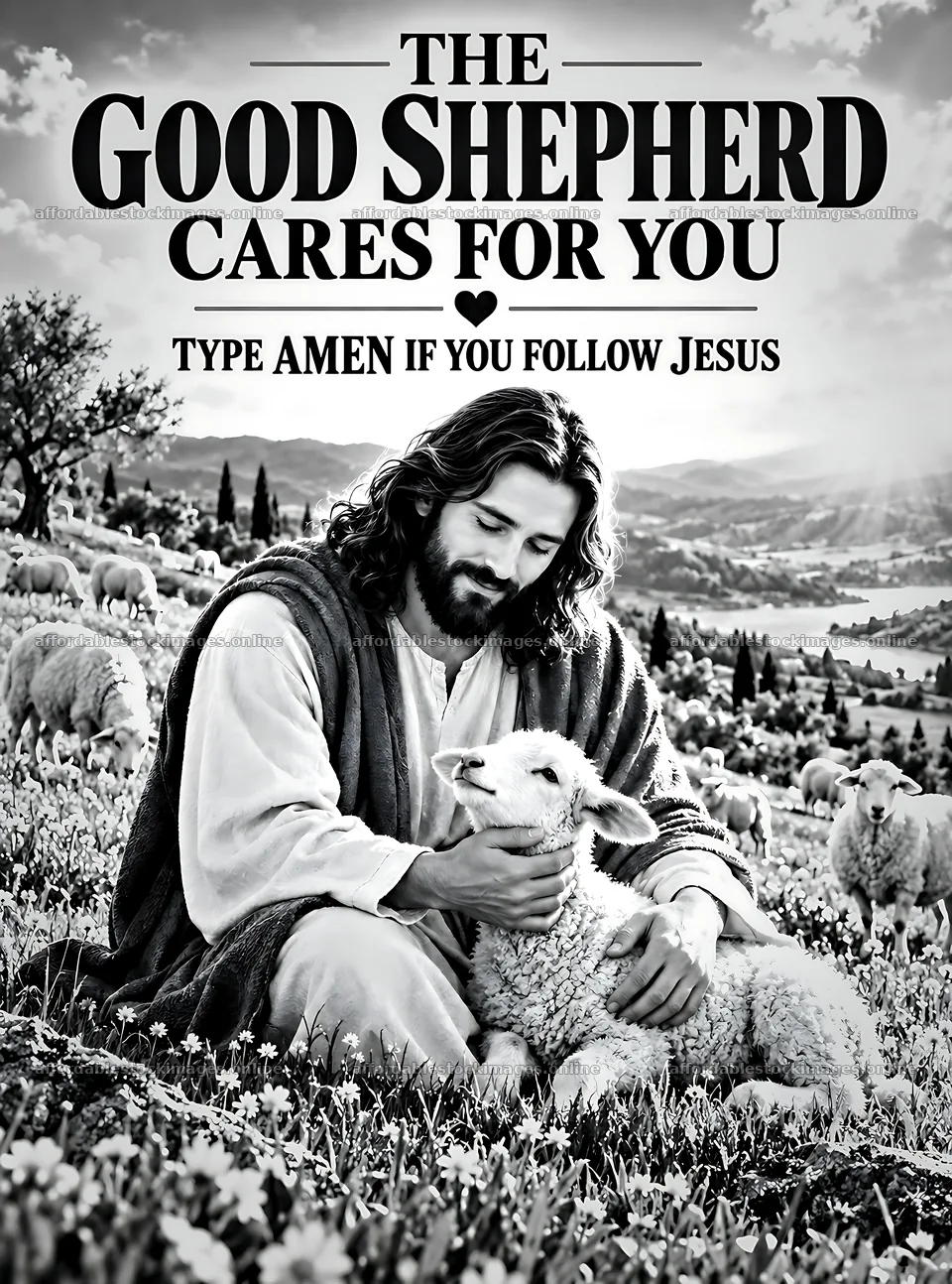 Good shepherd cares for sheep in green field – stock images 6836x9216