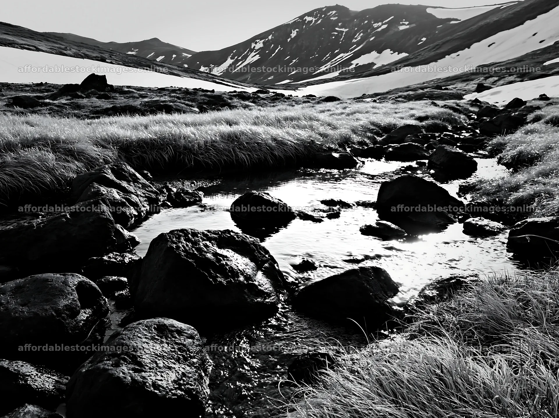 Akita snowmelt meadow with silver grasses and flowing stream – stock images 9174x6866