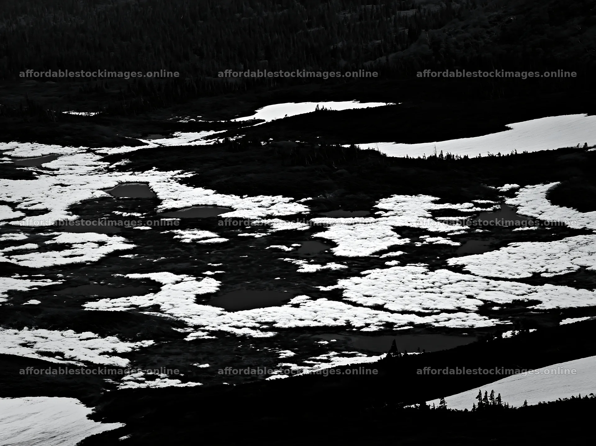 Akita snowmelt meadow with silver grasses and patches of water – stock images 9174x6866