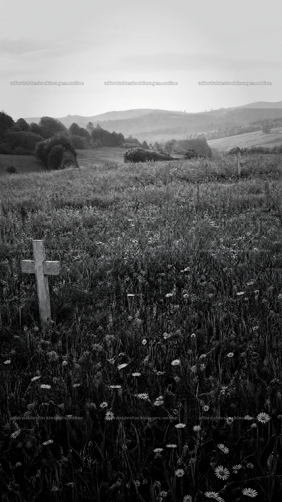 Christian crosses on rolling meadow during sunrise – stock images 5952x10584