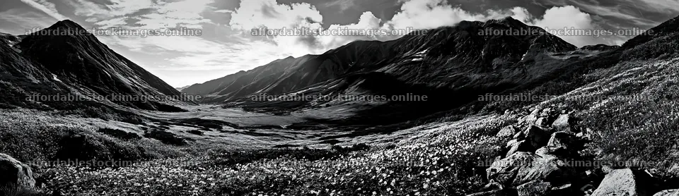 Toyama alpine meadow snowmelt rock foreground shows scenic – stock images 14762x4268