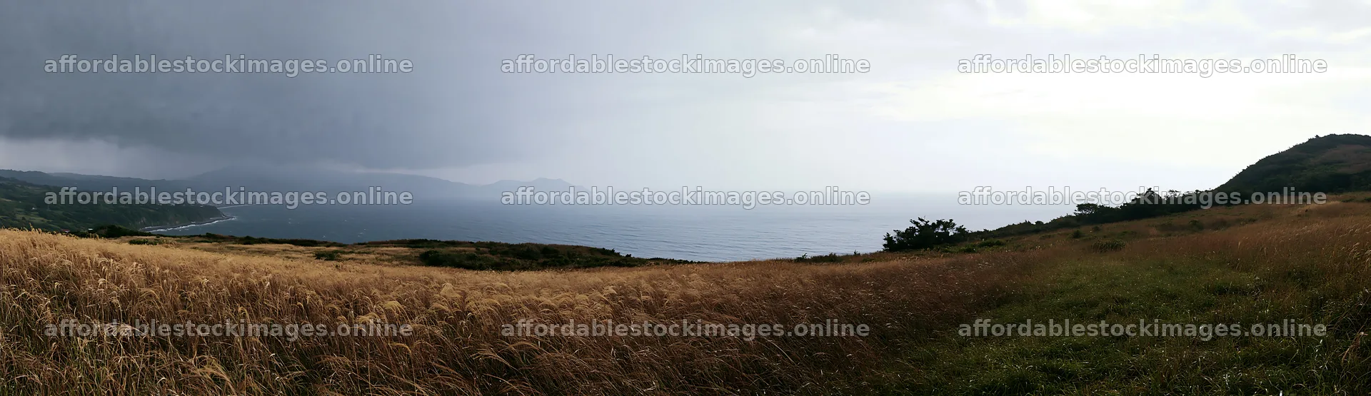 Shizuoka seasonal meadow after heavy rain – stock images 14762x4268