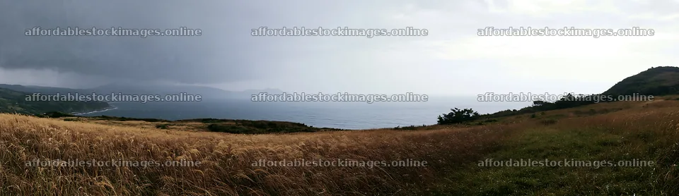 Shizuoka seasonal meadow after heavy rain – stock images 14762x4268