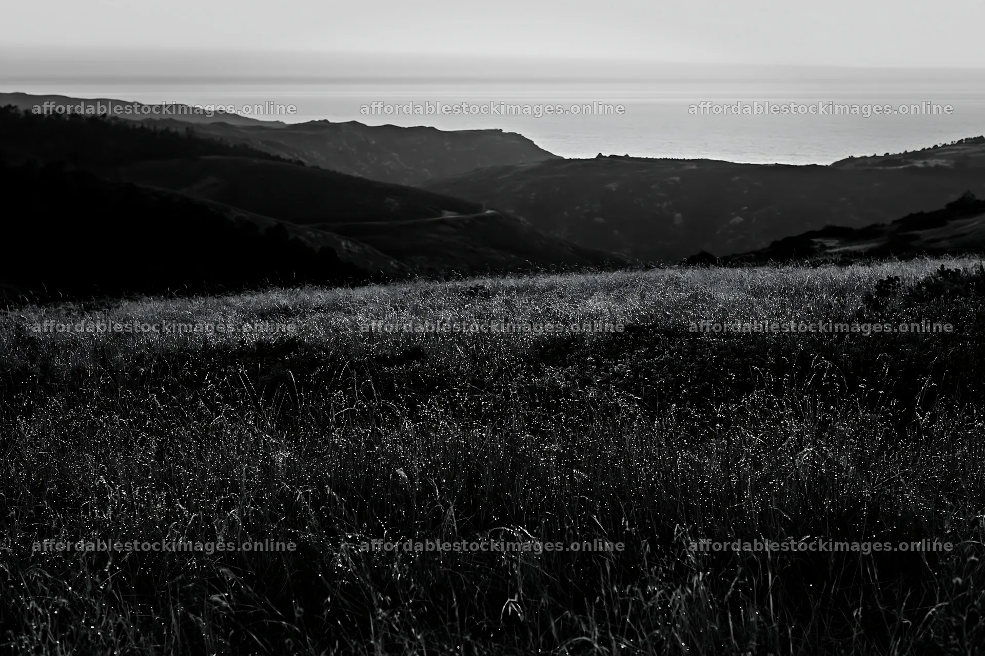 Portuguese meadow above Atlantic coast at sunset – stock images 9722x6480