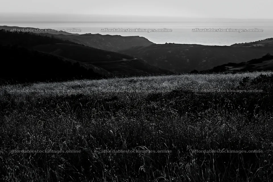 Portuguese meadow above Atlantic coast at sunset – stock images 9722x6480