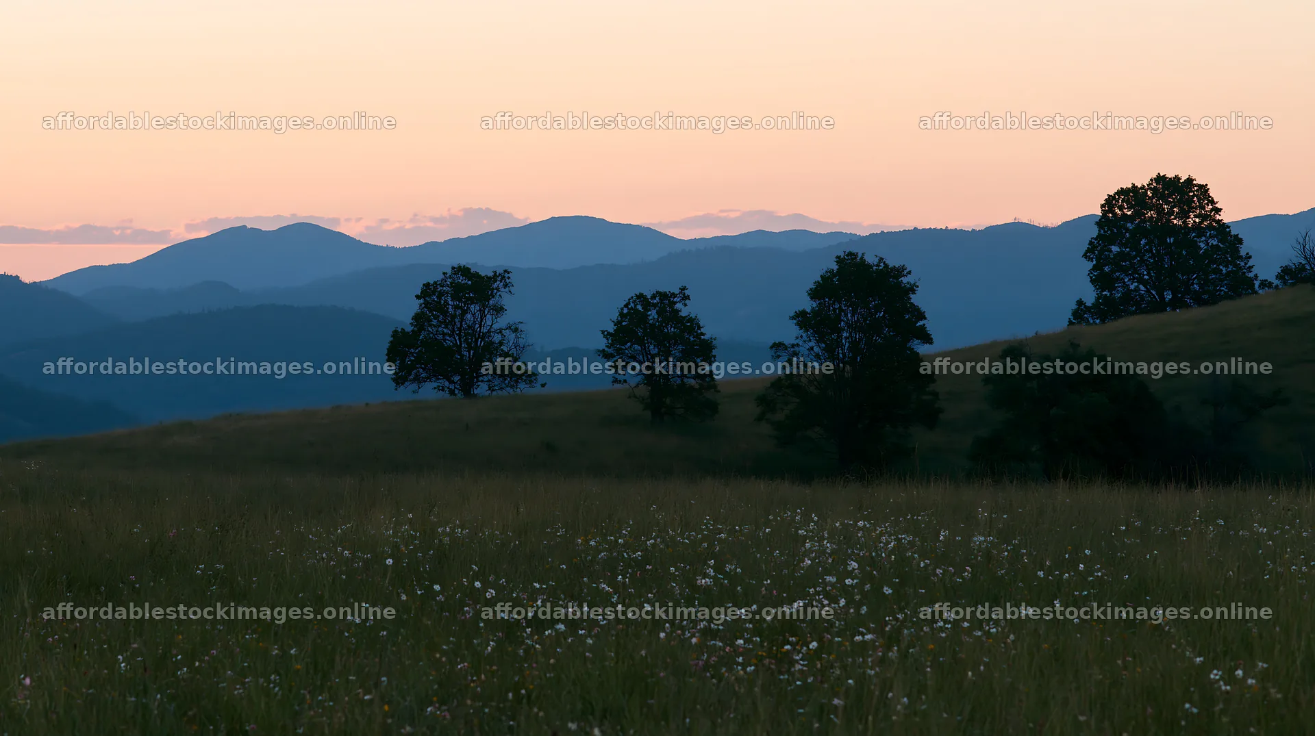 Highland apple meadow at sunset with distant mountains – stock images 10608x5938