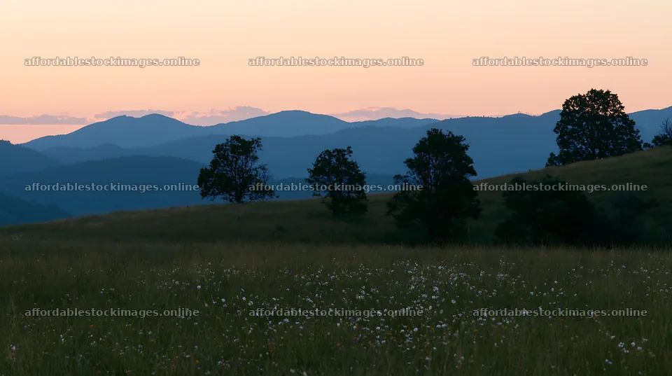 Highland apple meadow at sunset with distant mountains – stock images 10608x5938