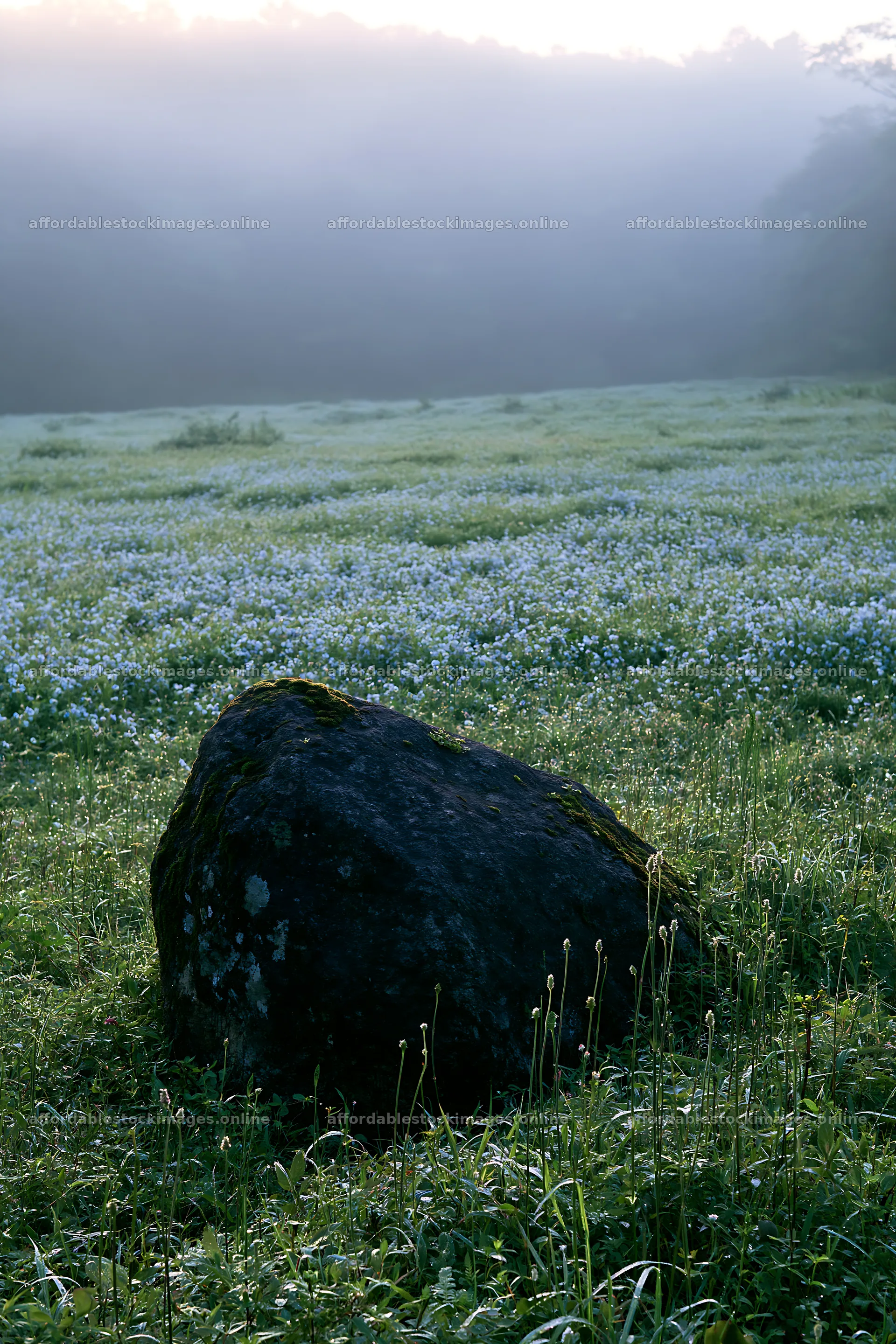 Misty meadow with moss covered stone in Shimane – stock images 6480x9722