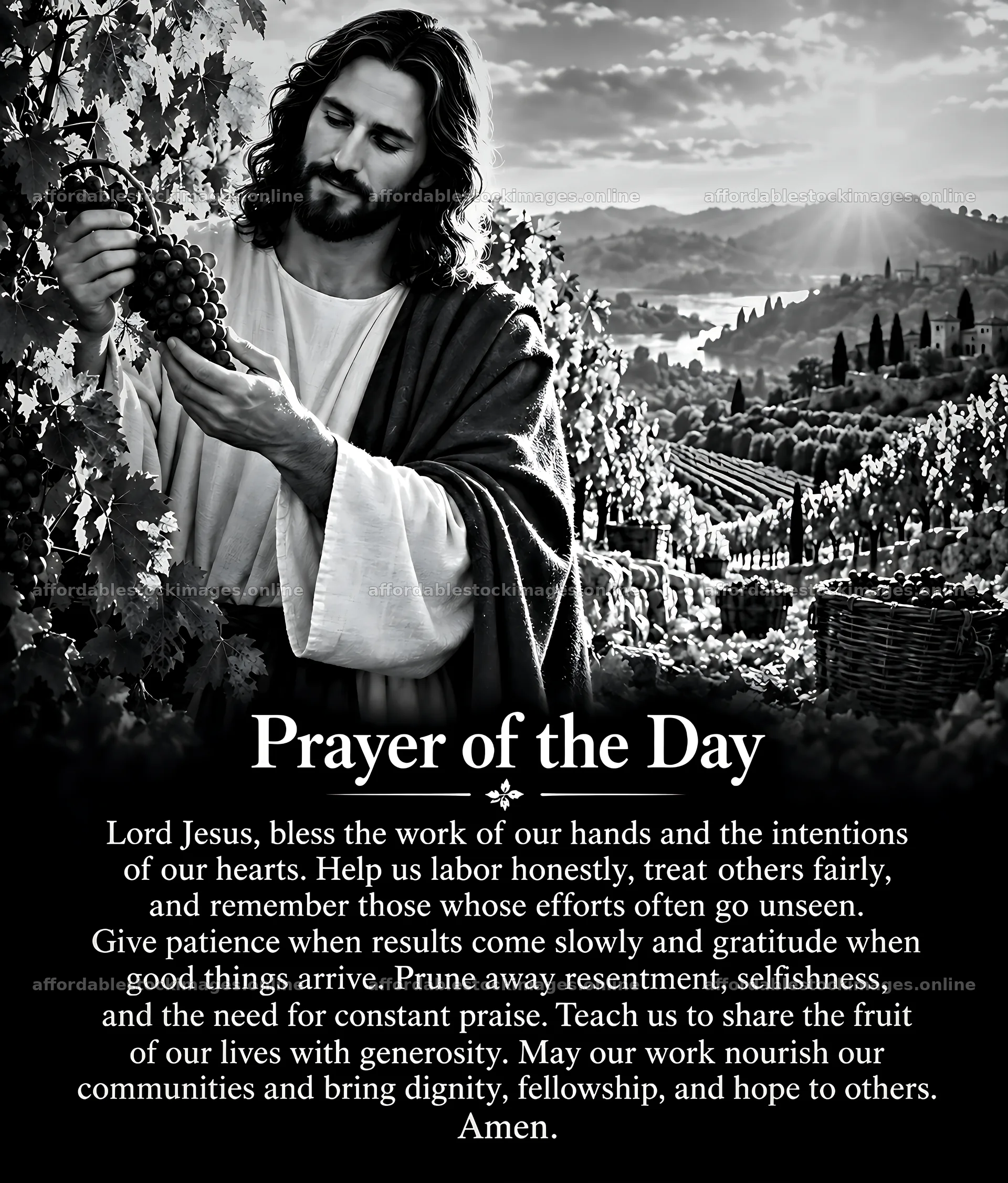 Blessing in the vineyard with prayer and reflection – stock images 7330x8596
