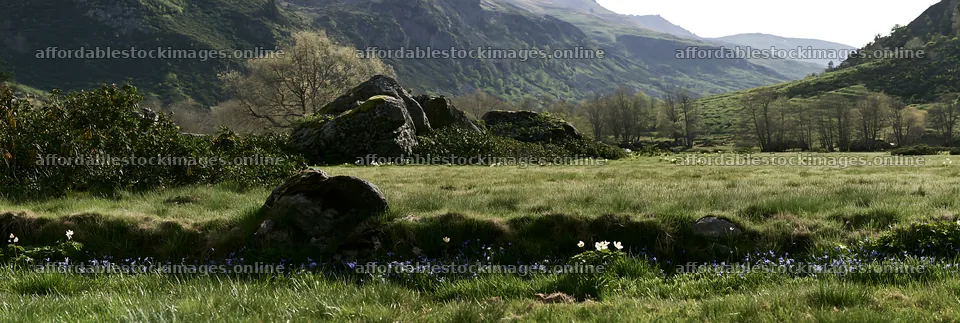 Climate-resilient meadow with mountains in daylight – stock images 13690x4602