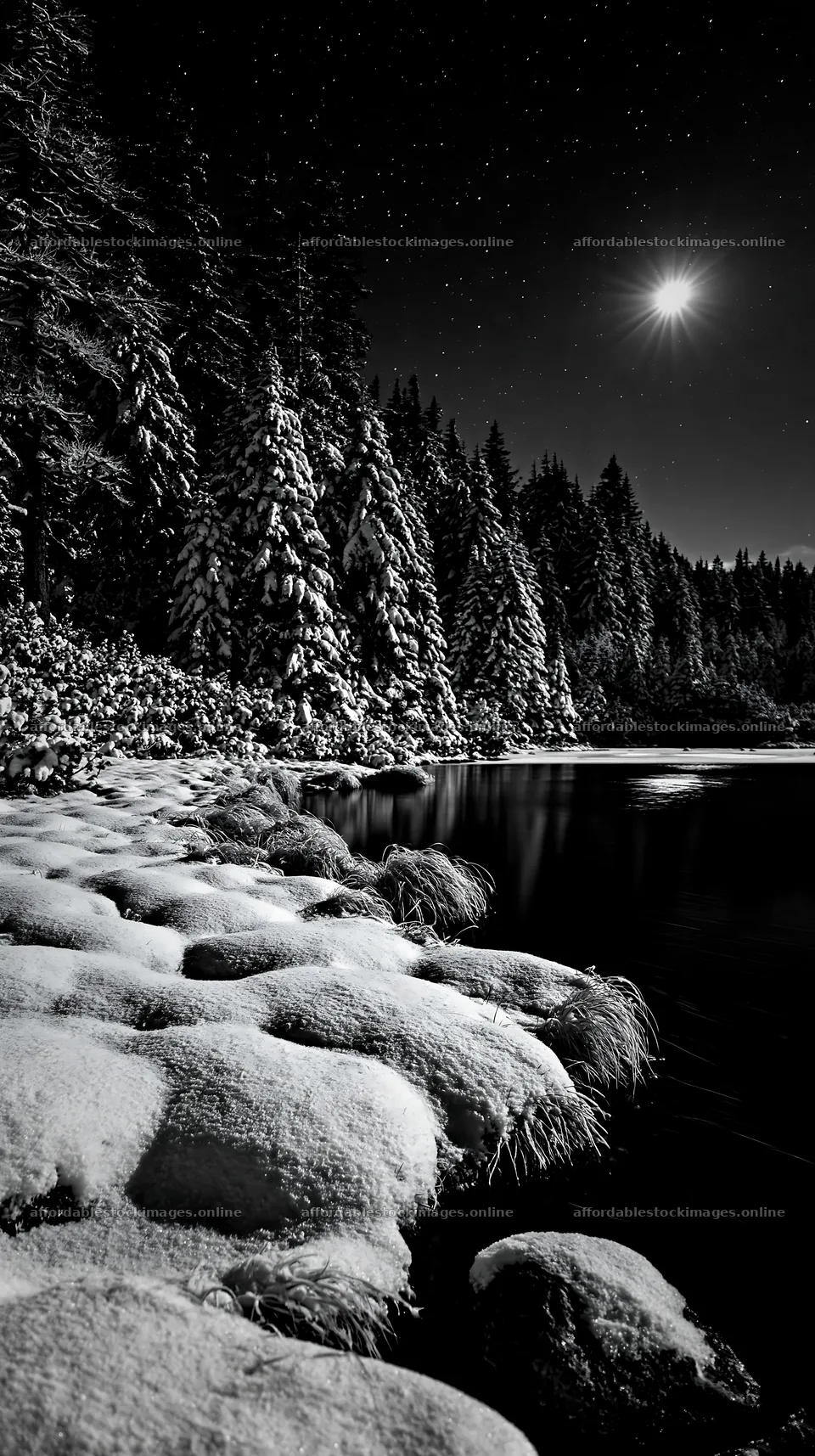 Snowy lakeside meadow at night with evergreen trees – stock images 5938x10608