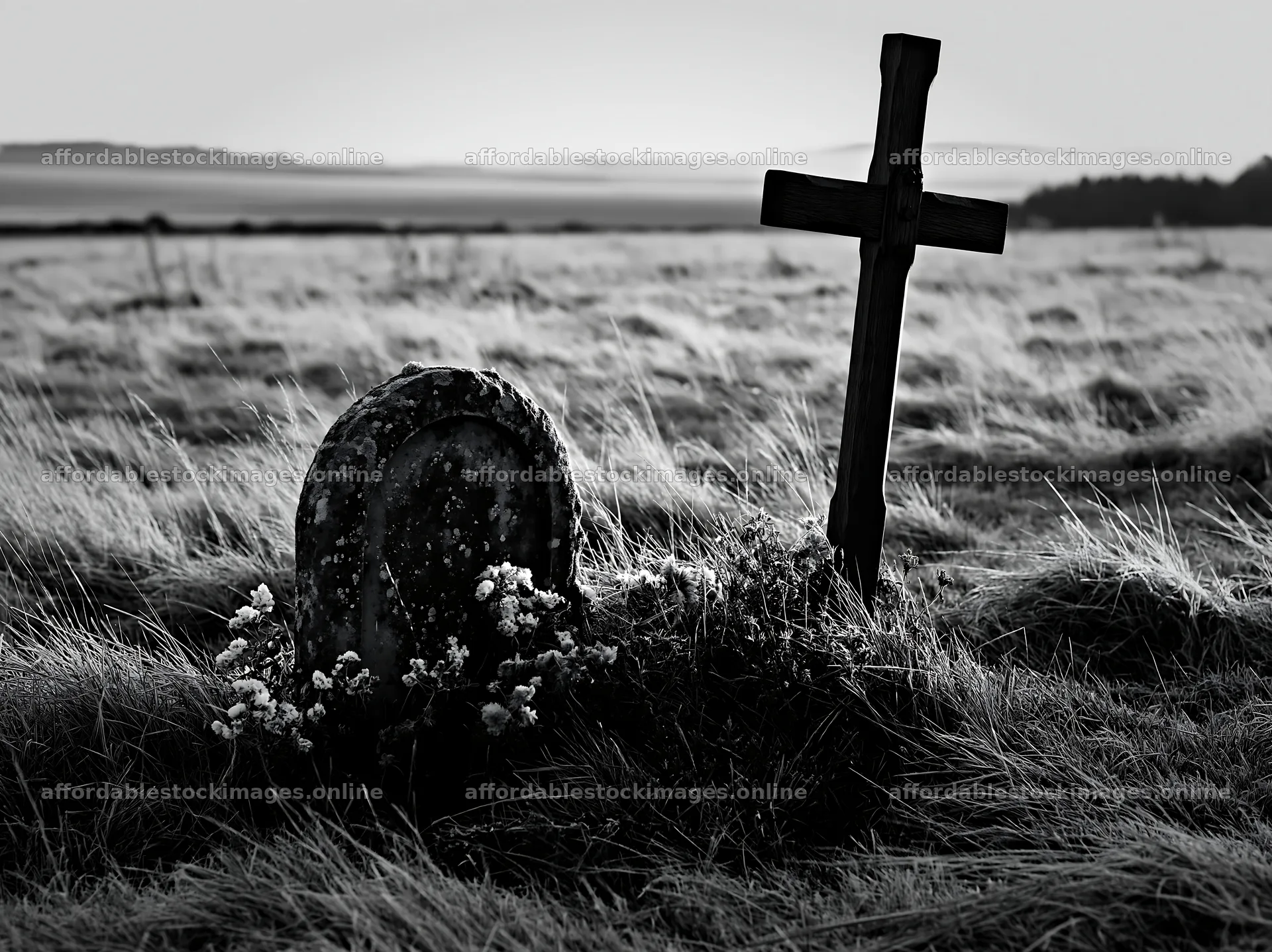 Christian cross in winter meadow with grass and flowers – stock images 9174x6866