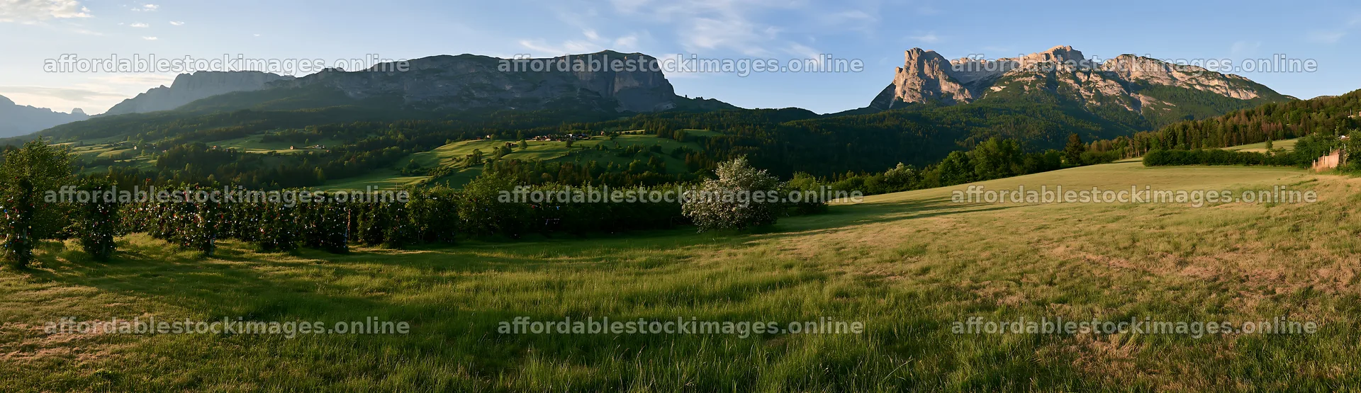 Apple tree meadow in the Dolomites with mountains in background – stock images 14762x4268