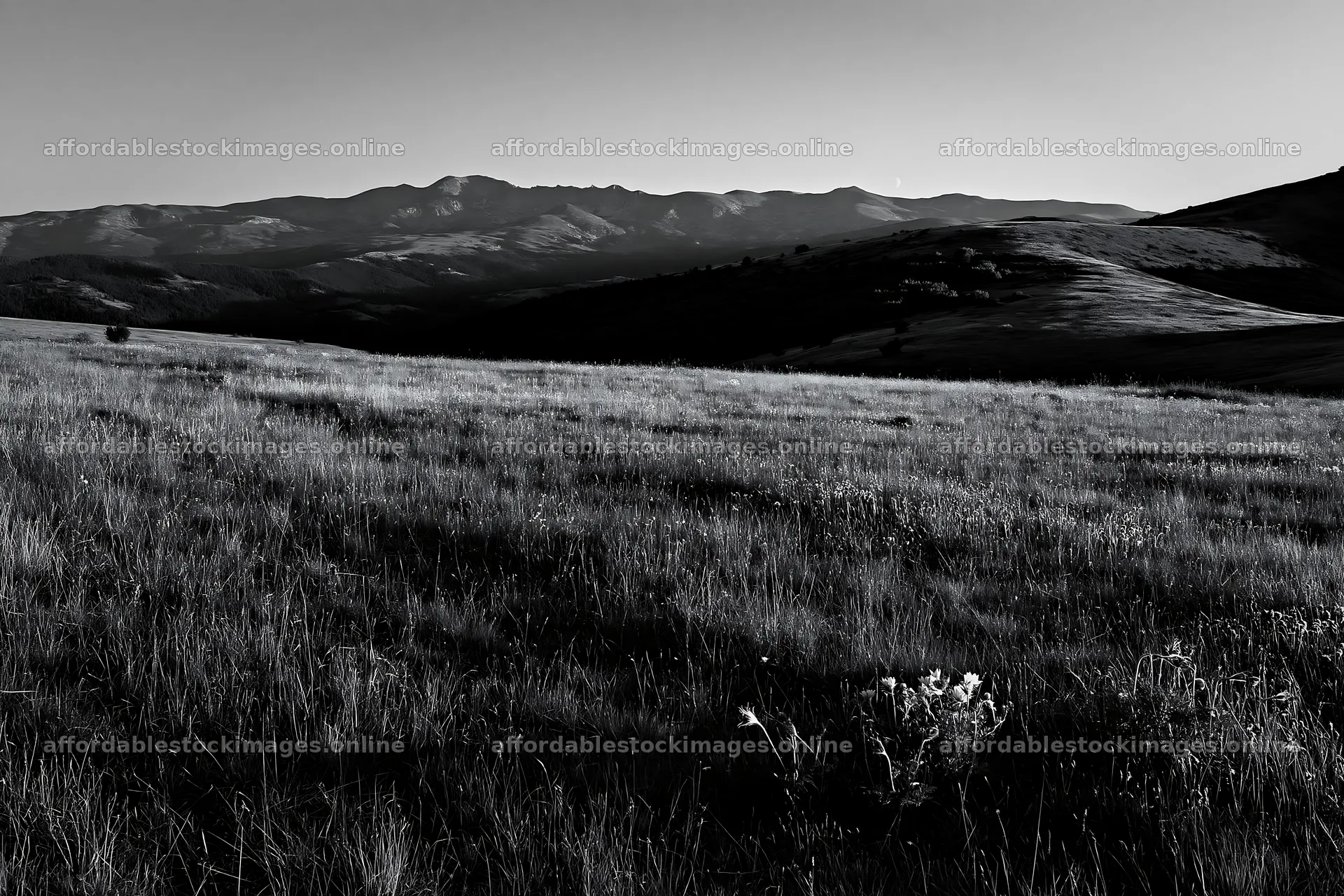 Moonrise over a meadow with mountains in the distance – stock images 9722x6480