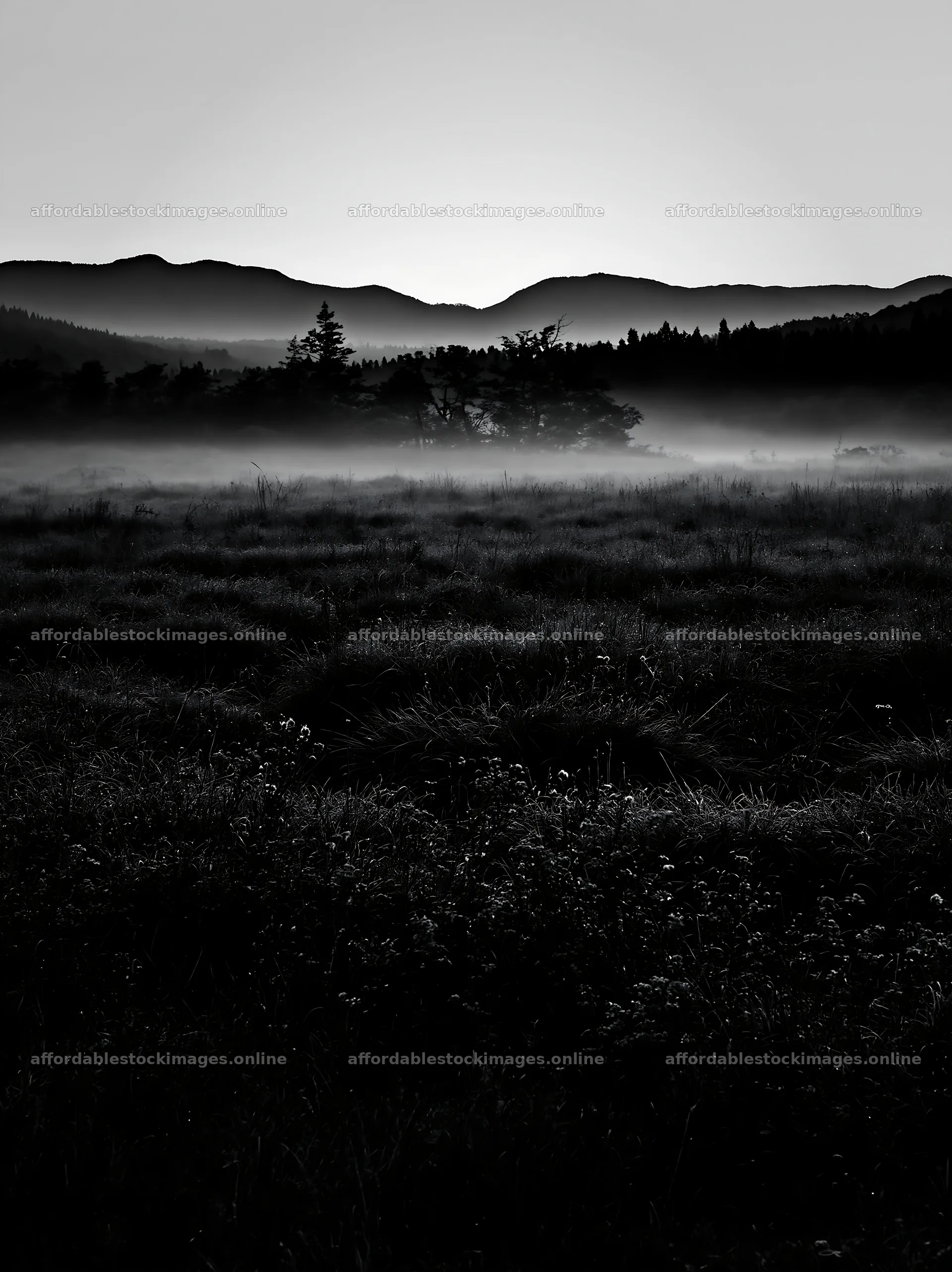 Miyazaki meadow at sunrise with dew on sedges – stock images 6866x9174