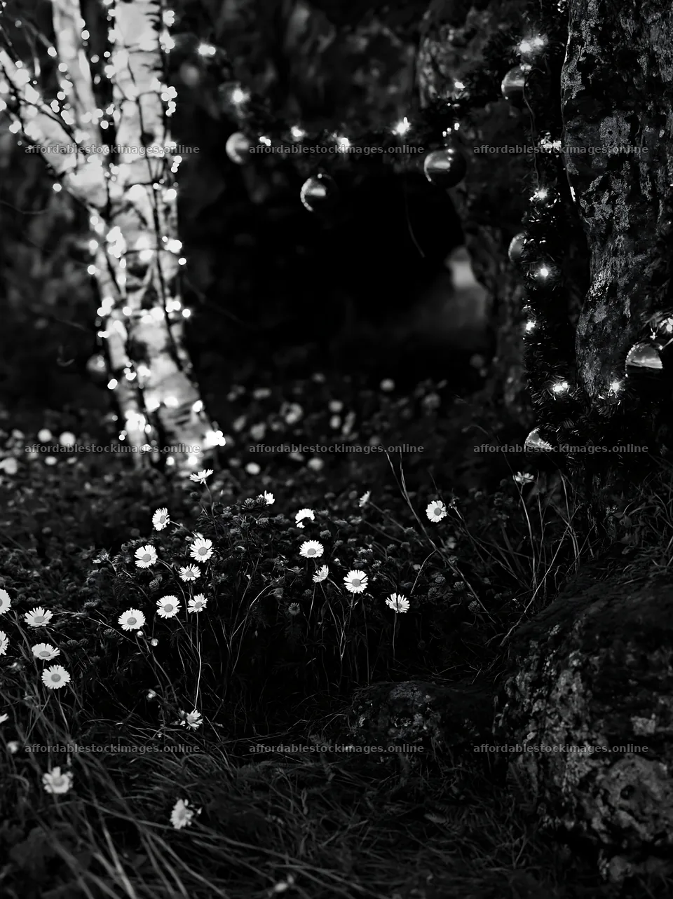 Christmas ornaments beside cave in meadow with flowers – stock images 6866x9174