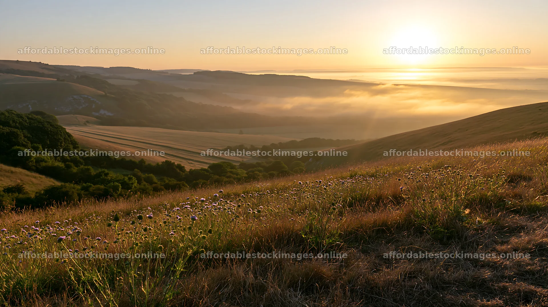 Sunny chalk meadow at sunrise with distant hills – stock images 10608x5938