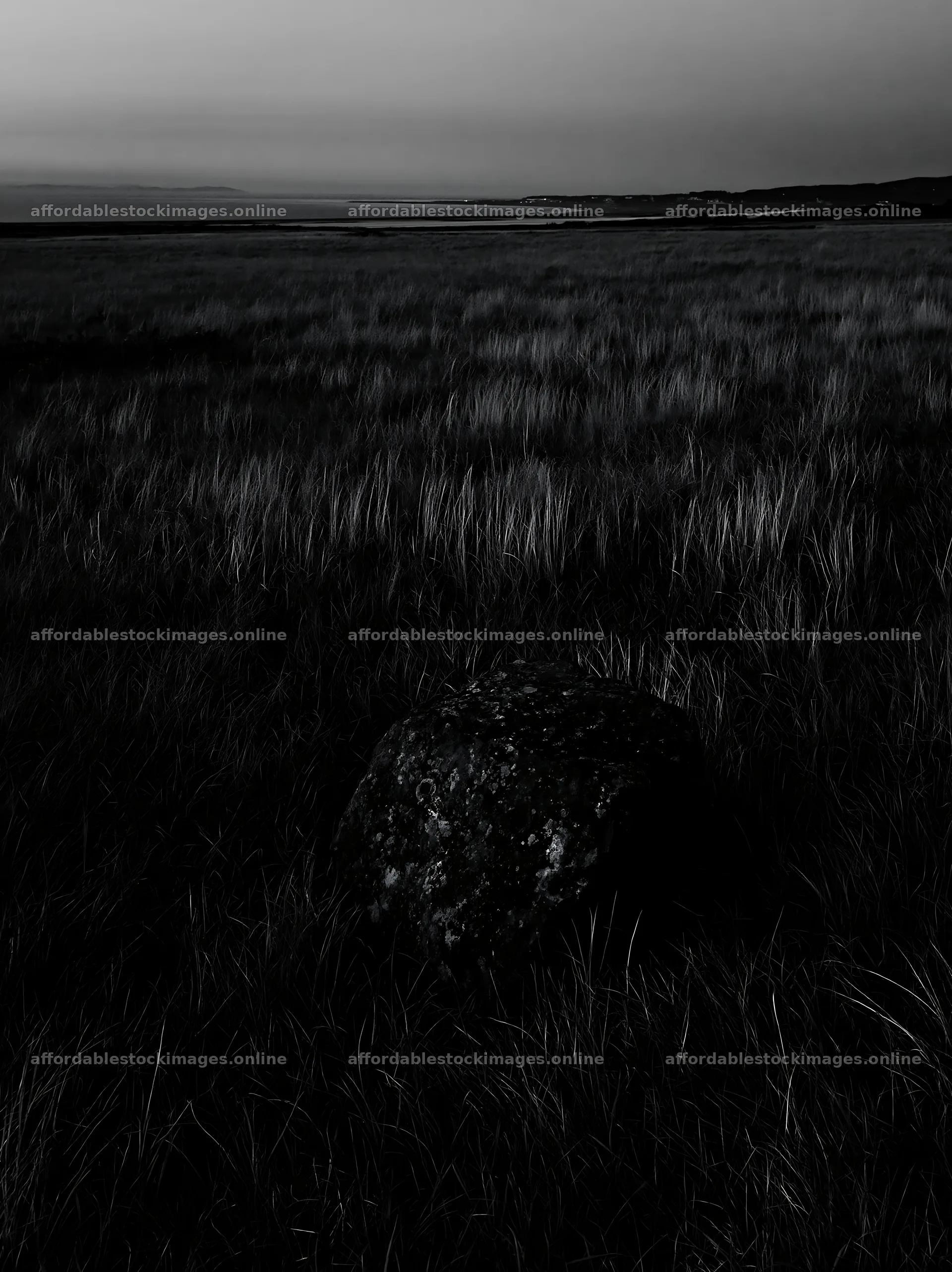 Aomori climate resilient meadow with boulder at dusk – stock images 6866x9174