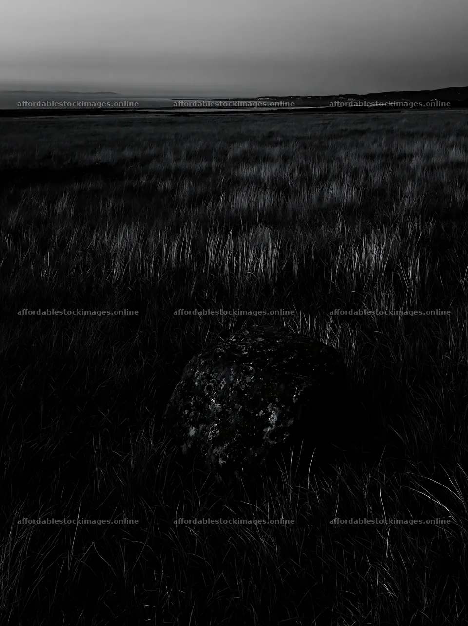 Aomori climate resilient meadow with boulder at dusk – stock images 6866x9174