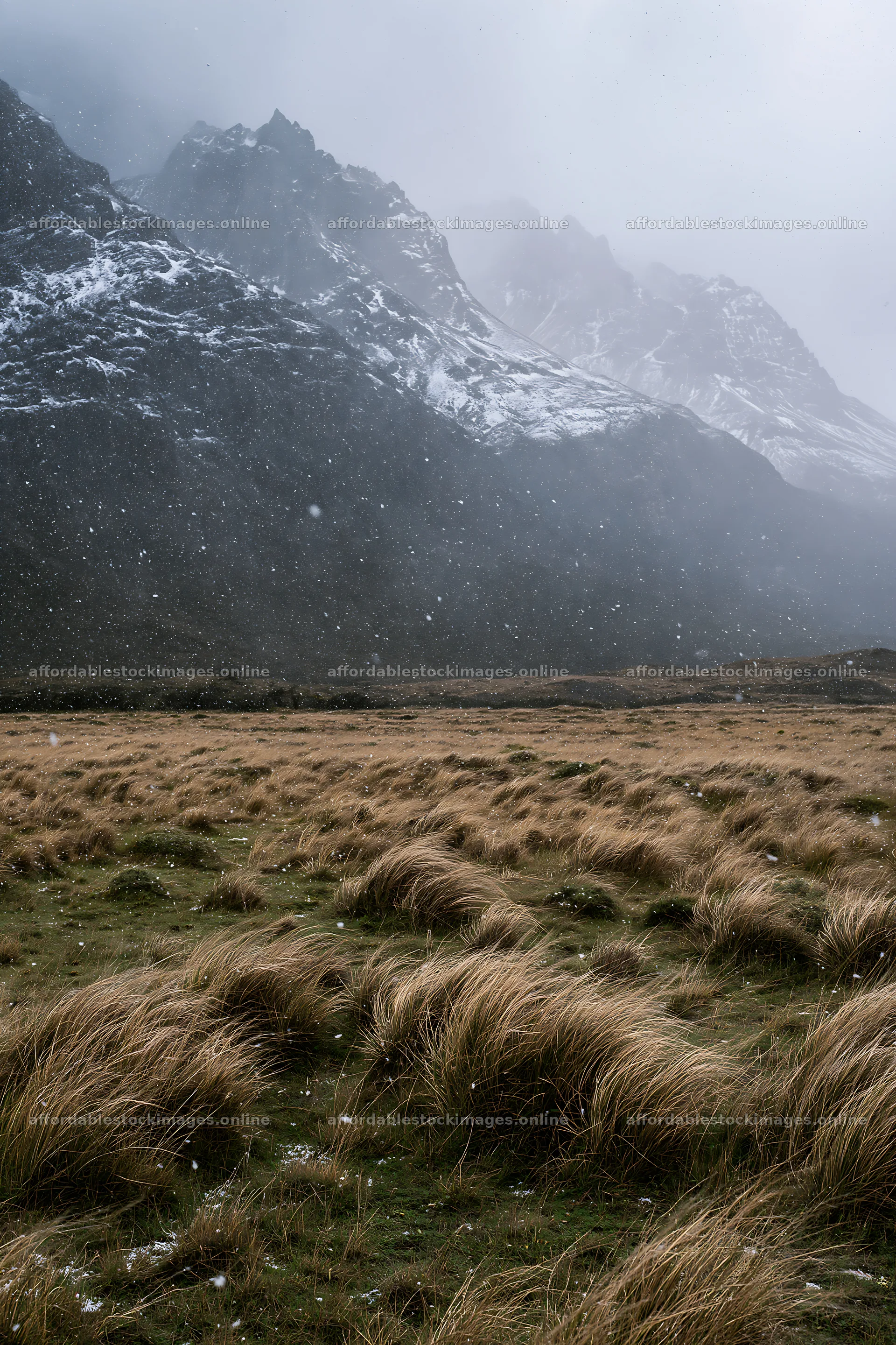 Snowy meadow in Torres del Paine National Park during winter – stock images 6480x9722