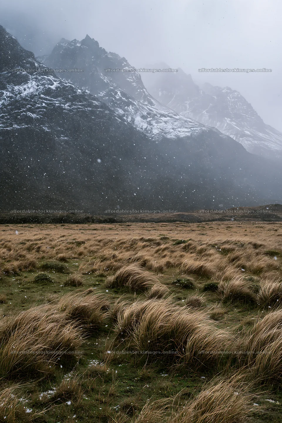 Snowy meadow in Torres del Paine National Park during winter – stock images 6480x9722