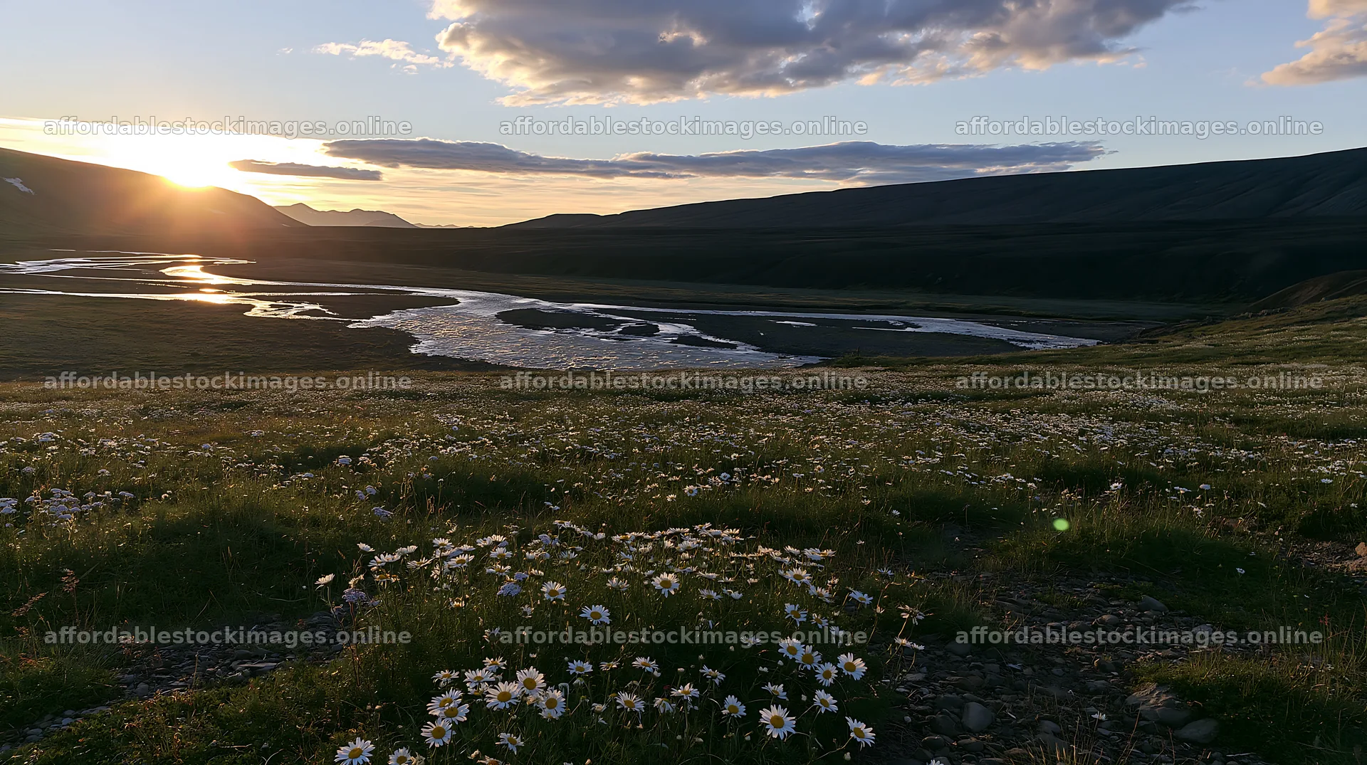 Meadow whiteout in a scenic valley during sunset – stock images 10608x5938
