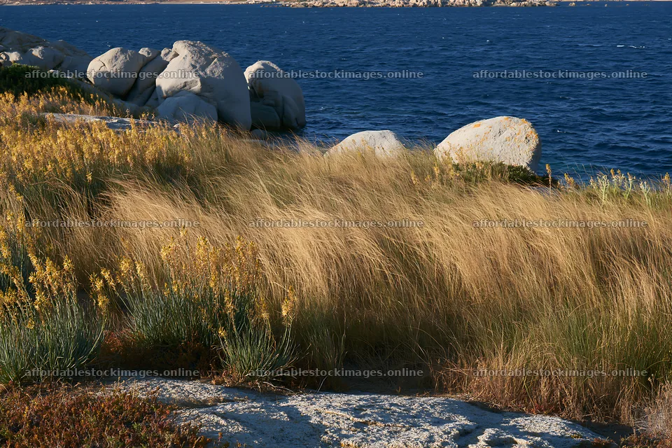 Rocky coast with meadows by the sea in Italy – stock images 9722x6480