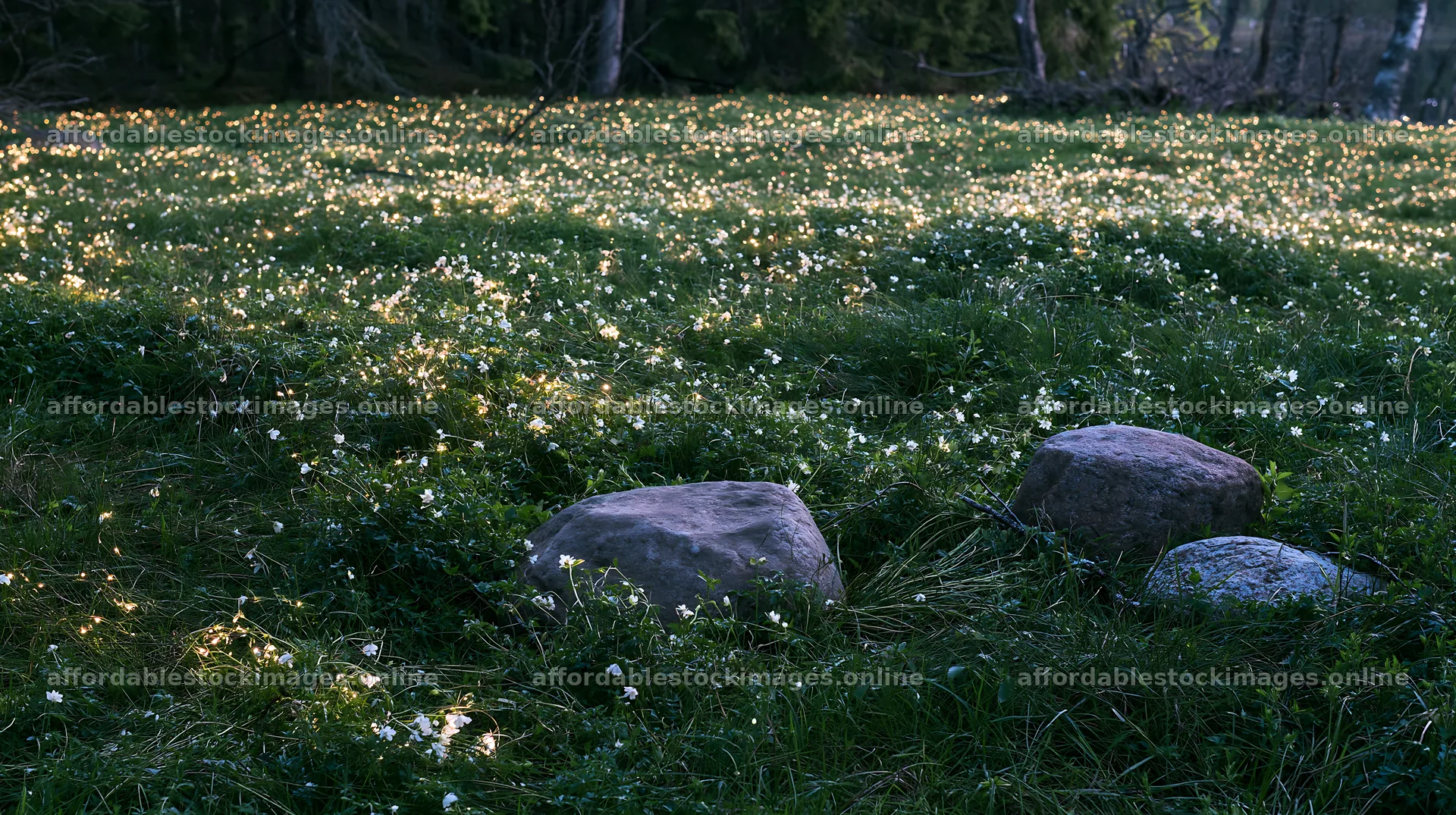 Expansive Christmas meadow with stones and twinkling lights – stock images 10608x5938
