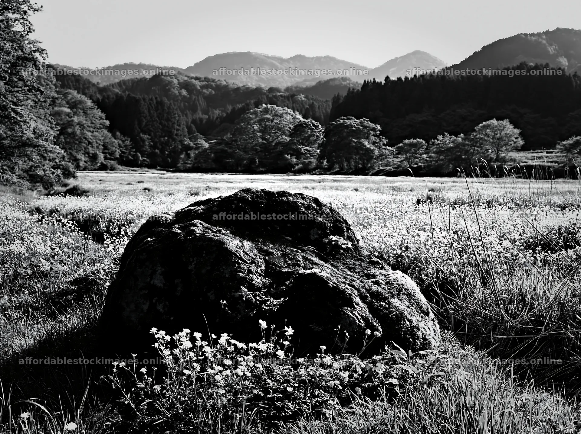 Miyagi spring recovery meadow with mossy stone – stock images 9174x6866