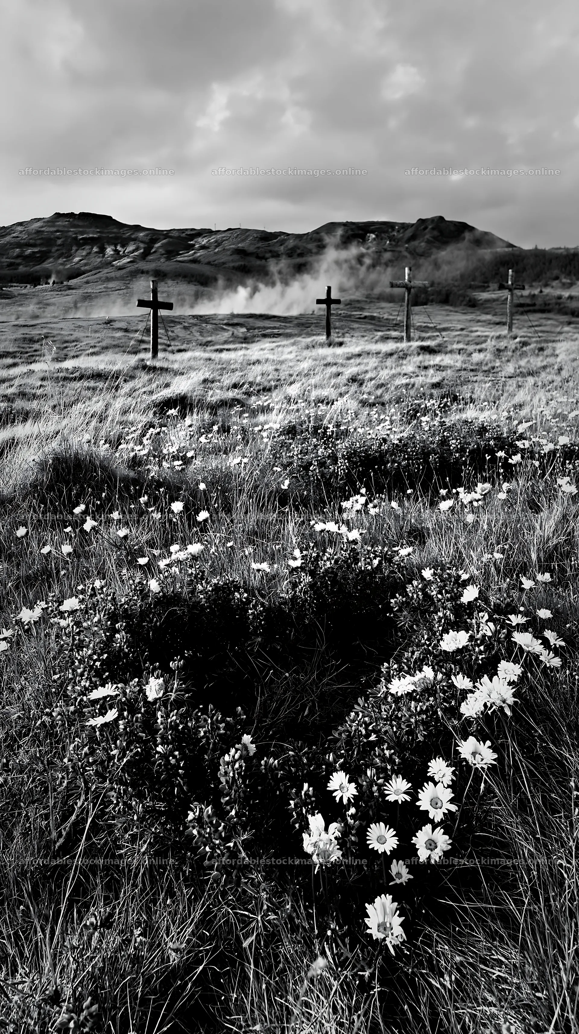 Christian crosses around geothermal spring meadow – stock images 5938x10608