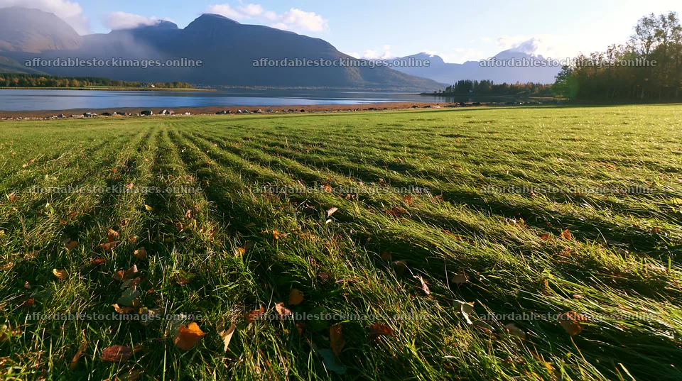 Fjord meadow with grass and mountains during daylight – stock images 10608x5938