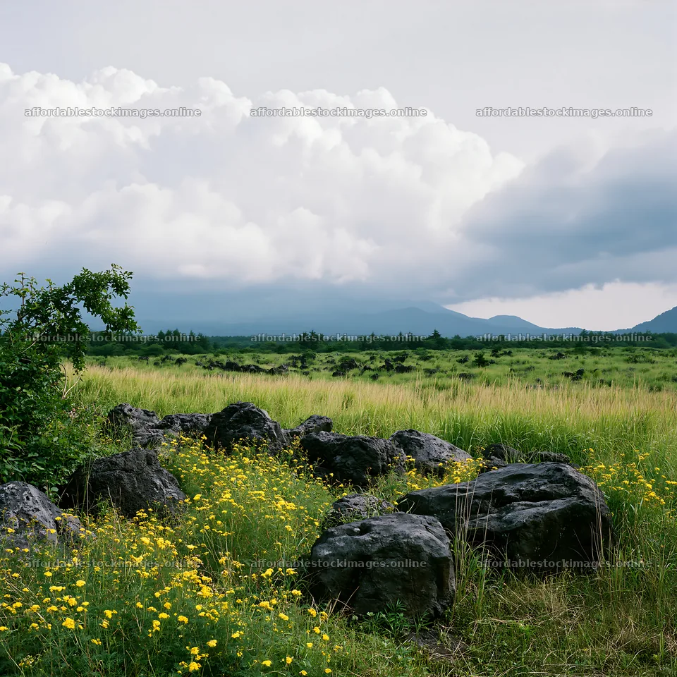 Yamanashi regenerative meadow with basalt stones under cloudy – stock images 7938x7938