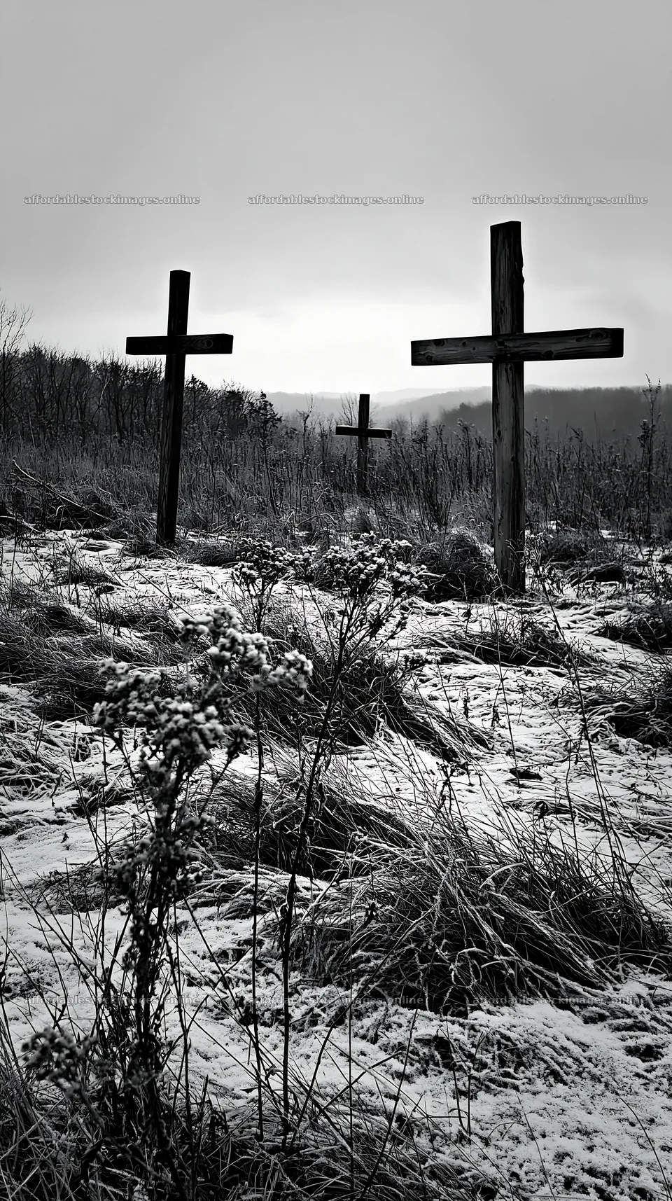 Three rustic crosses in a winter meadow – stock images 5938x10608
