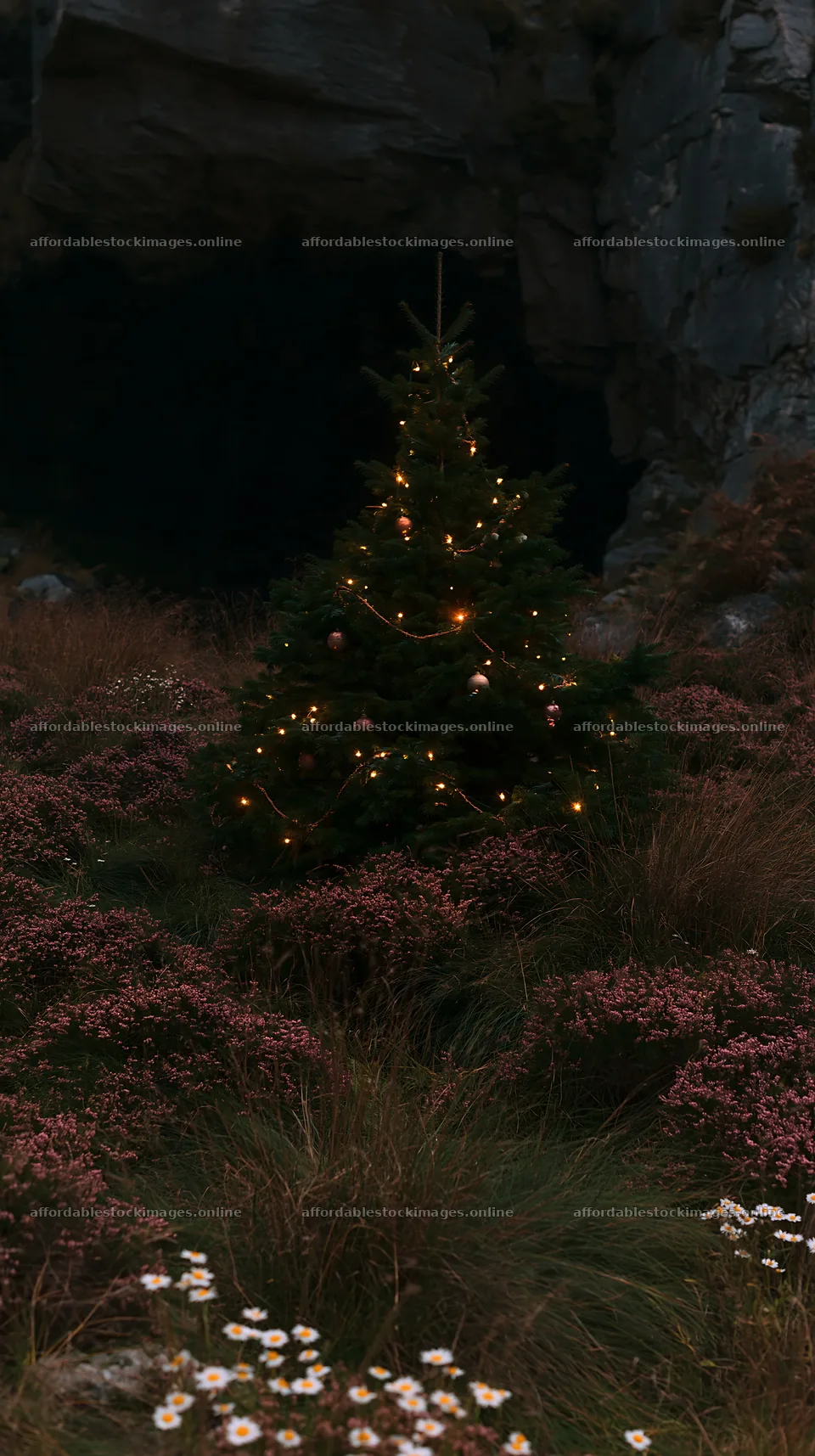 Christmas tree in meadow by cave in natural setting – stock images 5938x10608