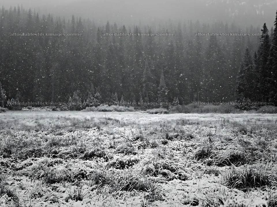 Snowy Rocky Mountain Park meadow in winter weather – stock images 9174x6866