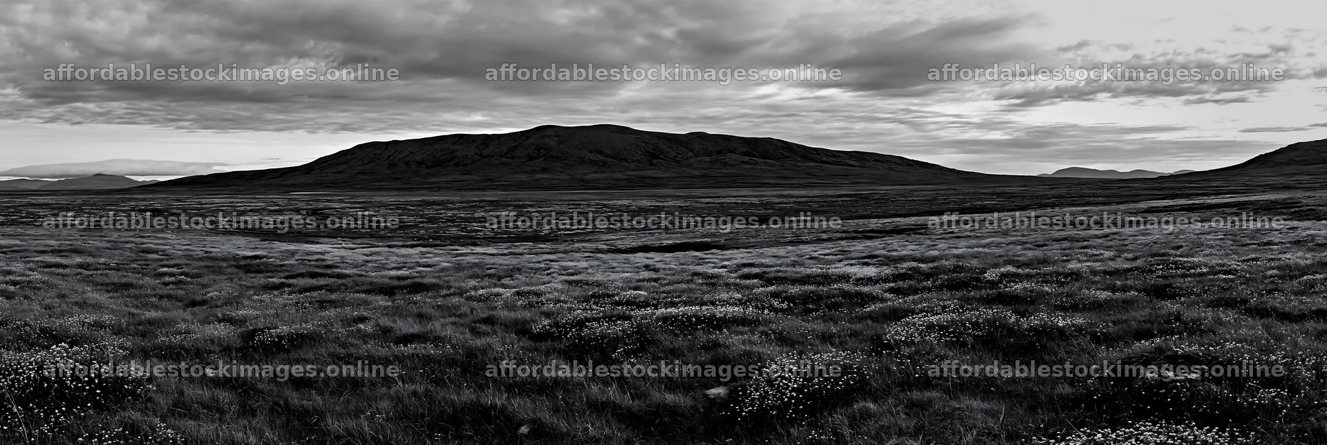 Cloudy dry flower meadow with distant hills – stock images 13690x4602
