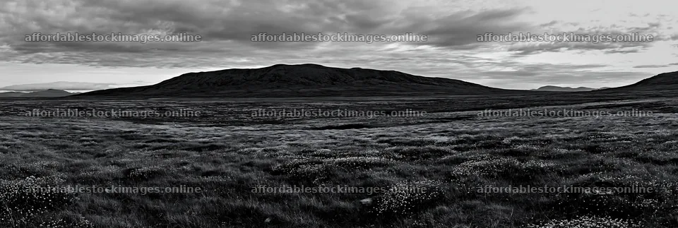 Cloudy dry flower meadow with distant hills – stock images 13690x4602