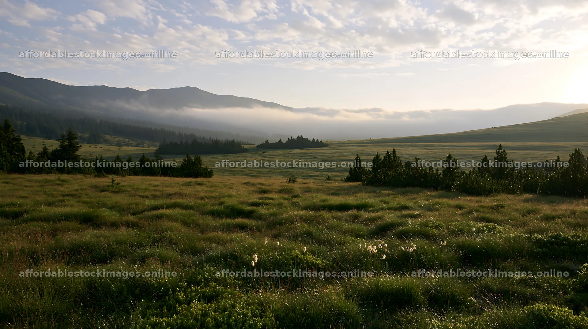 Dewy meadow landscape with misty mountains in the background – stock images 10608x5938