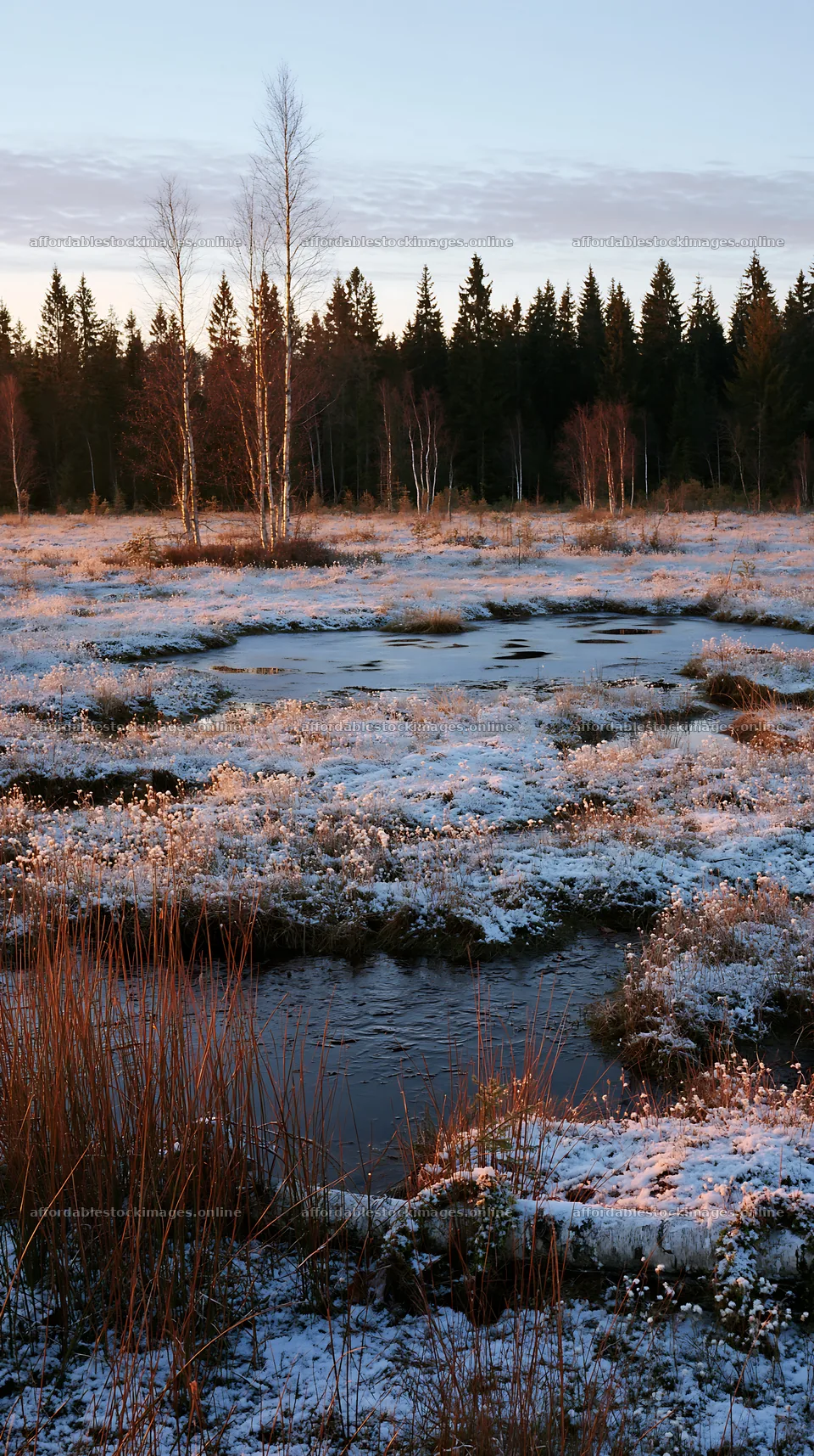 Expansive Christmas meadow with rainwater retention and wreaths – stock images 5938x10608